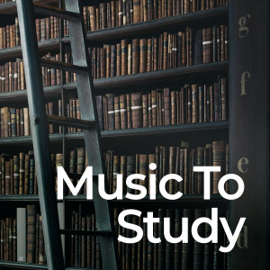 อัลบัม Music to Study: Studying and Focus ศิลปิน Calm Music for Studying