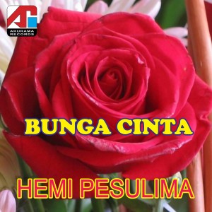 Bunga Cinta dari Hemi Pesulima