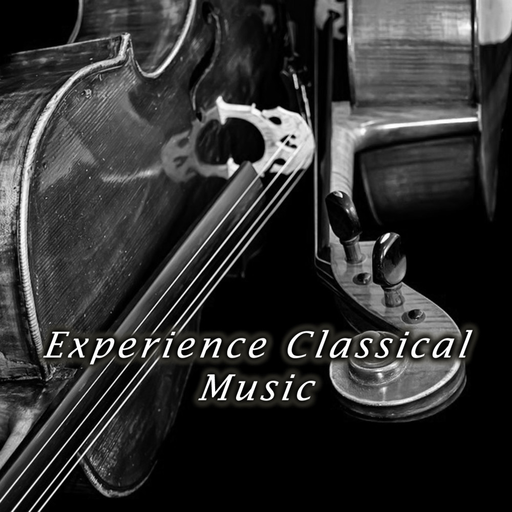 Tchaikovsky: Symphony #6 In B Minor, Op. 74, "Pathétique" / 2. Allegro Con Grazia