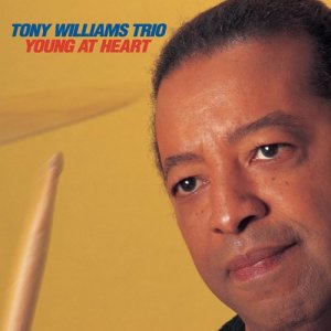 收聽Tony Williams Trio的Young at Heart歌詞歌曲