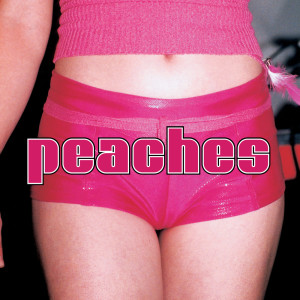 Album The Teaches of Peaches (Explicit) from Peaches