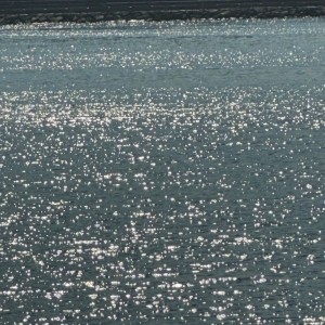 Listen to shine (feat. cyprus) song with lyrics from macra
