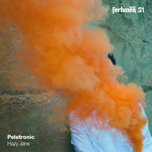 Listen to The Highest Chance (Paradiso Rhythm Remix) song with lyrics from Peletronic