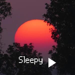 อัลบัม Sleepy ศิลปิน Mellow Moods