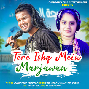 Listen to Tere Ishq Main Marjawan (HIndi) song with lyrics from Sujit Shankar