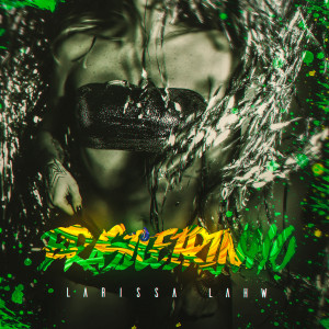 ดาวน์โหลดและฟังเพลง Brasileirinho (Cover) พร้อมเนื้อเพลงจาก Larissa Lahw