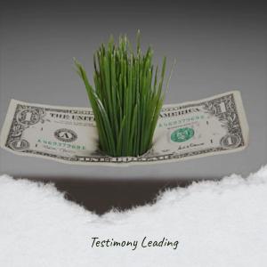 Various Artists的專輯Testimony Leading