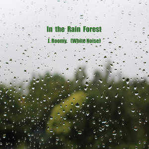 ดาวน์โหลดและฟังเพลง In the Rain Forest (ASMR, Nature Sound) พร้อมเนื้อเพลงจาก J.Roomy