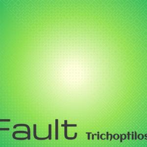 Album Fault Trichoptilosis from Various