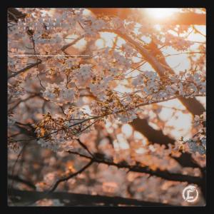 的专辑IMissYou / Feeling