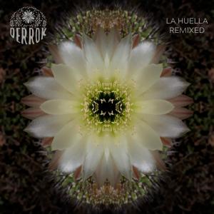 Listen to Conciencia (Joaquín Cornejo Remix) song with lyrics from Derrok