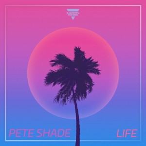 Dengarkan lagu Life nyanyian Pete Shade dengan lirik