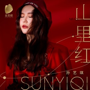 收聽孫藝琪的山裏紅(DJ何鵬版) (完整版)歌詞歌曲