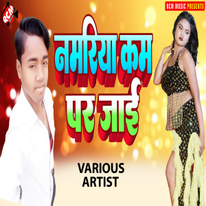 Listen to Saathe Jaib Jamuniya Ge Chawadi song with lyrics from Awadhesh Premi