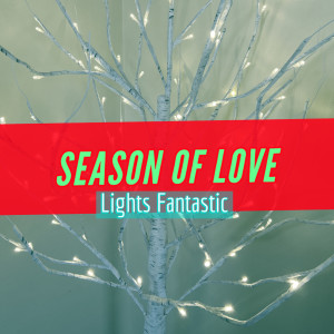 Listen to Regifted song with lyrics from Lights Fantastic