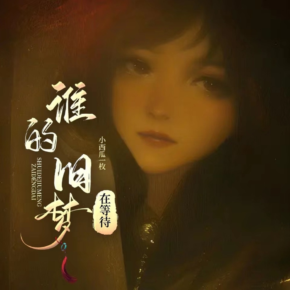 谁的旧梦在等待 (伴奏)