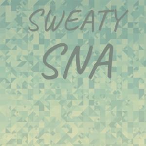 Various Artists的專輯Sweaty Sna