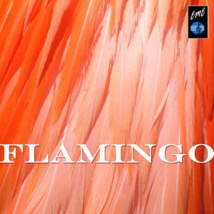 ดาวน์โหลดและฟังเพลง Flamingo พร้อมเนื้อเพลงจาก Duke Ellington
