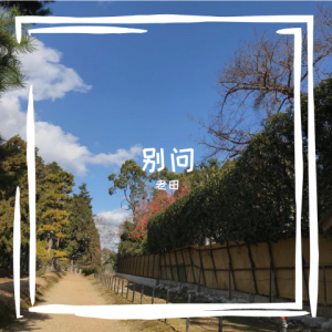 Album 别问 from 老田