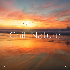 ดาวน์โหลดและฟังเพลง Quiet Jungle Spa พร้อมเนื้อเพลงจาก Nature Sounds