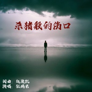 Album 杀猪般的伤口 from 赵浚凯