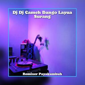 Listen to Dj Cameh Bungo Layua Surang song with lyrics from Remixer Payakumbuh