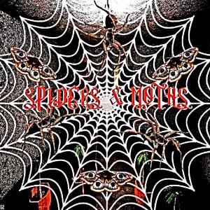ดาวน์โหลดและฟังเพลง Spiders & Moths (feat. SWIPESHAWTYY) (Explicit) พร้อมเนื้อเพลงจาก Nightmare Moon Corruptrix