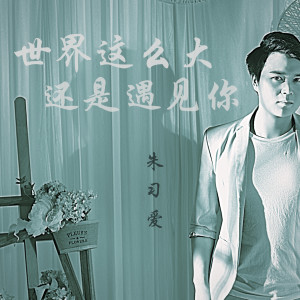 Listen to 世界这么大还是遇见你 (抖音版) song with lyrics from 朱习爱