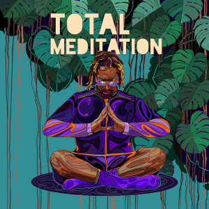 Lil Jon的專輯Total Meditation