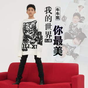 Album 我的世界你最美 (DJ版) from 牛牛凯