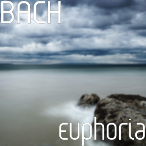 收聽Bach的Euphoria歌詞歌曲