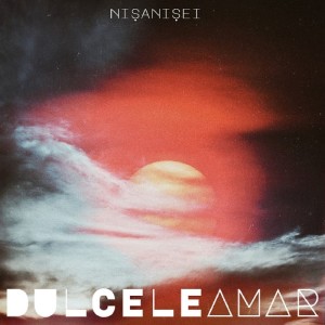 Listen to Gânduri pot fi song with lyrics from Nisanisei