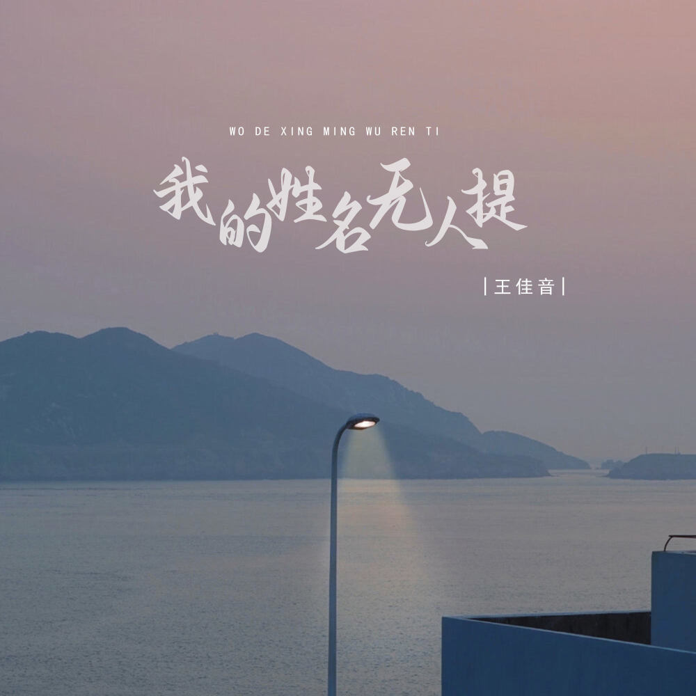 我的姓名无人提