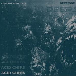 ดาวน์โหลดและฟังเพลง Acid Chips พร้อมเนื้อเพลงจาก Camouflaged Cats