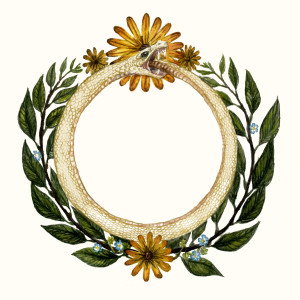 Mariee Sioux的专辑Snake Hoop