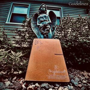 อัลบัม Guidelines ศิลปิน 