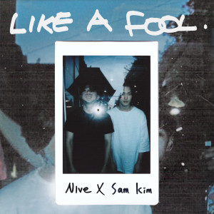 NIve的專輯Like A Fool