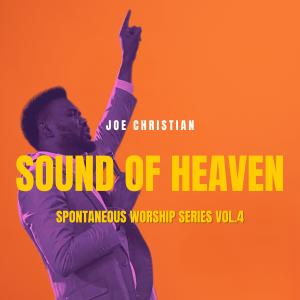 Listen to Medley: YAHWEH i worship you/ You are YAHWEH/ We lift you high YAHWEH (feat. Nechi) song with lyrics from Joe Christian
