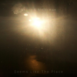 Album Seems Like the Place from Naono
