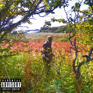 Listen to 247 (feat. Overpade) (Explicit) song with lyrics from Apathy