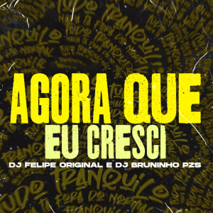 Listen to Agora Que Eu Cresci (Explicit) song with lyrics from DJ Japa NK