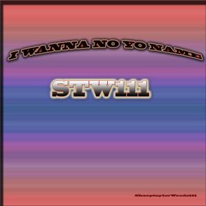 ดาวน์โหลดและฟังเพลง I Wanna No Yo Name (Explicit) พร้อมเนื้อเพลงจาก Stw111
