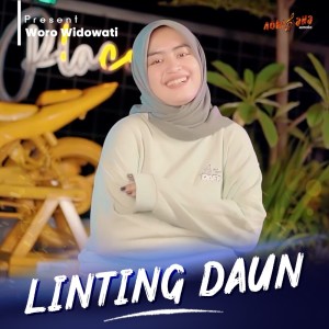 Dengarkan lagu Linting Daun nyanyian Woro Widowati dengan lirik