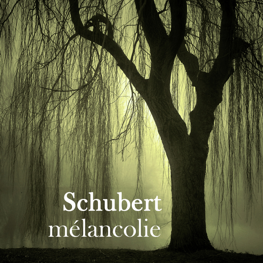 2. Adagio (excerpt)