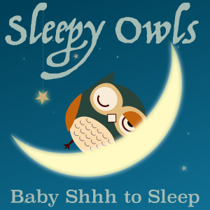 Listen to Shhh to Sleep with Heartbeat song with lyrics from Sleepy Owls