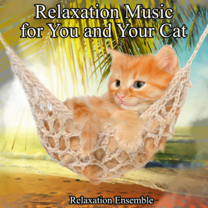 ดาวน์โหลดและฟังเพลง Amaranth พร้อมเนื้อเพลงจาก Relaxation Ensemble