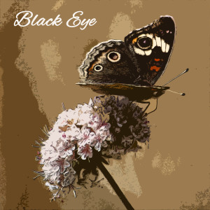 Jackie Wilson的专辑Black Eye