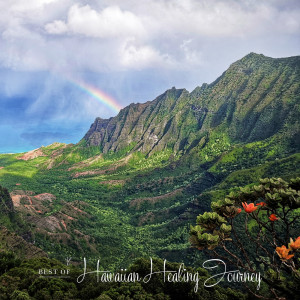 Steve Jones的专辑Best of Hawaiian Healing Journey Vol.1 (Remastered 2021)