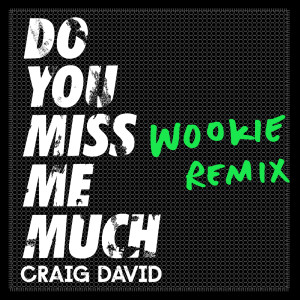 อัลบัม Do You Miss Me Much (Wookie Remix) ศิลปิน Craig David