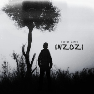 Album Inzozi from Hervis Beatz